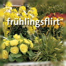 Frühlingsflirt Link Buttons