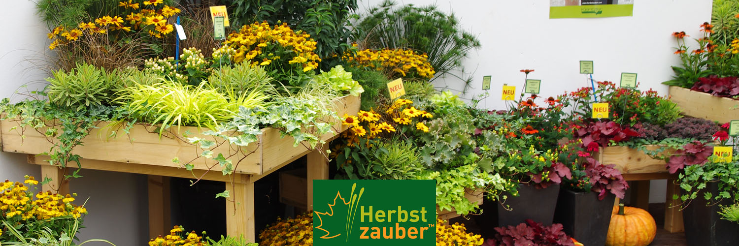 Herbstzauber Pflanzen von Kientzler Herbstzauber Pflanzen von Kientzler