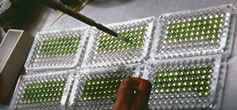InnovaPlant Labordienstleistungen