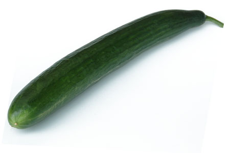 Cucumis sativus  Euphya