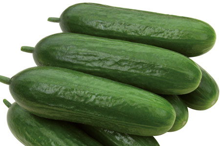 Cucumis sativus  Iznik