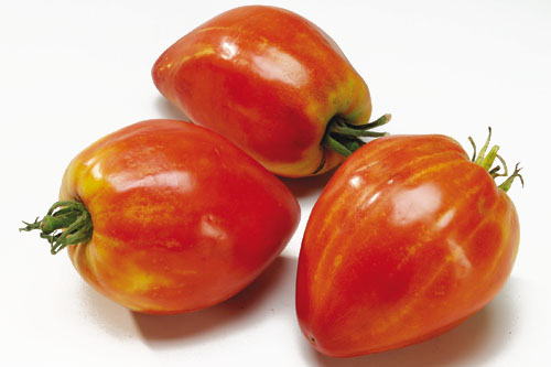 Solanum lycopersicum  Coeur de Boeuf