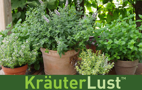 Kräuterlust Kräuterlust