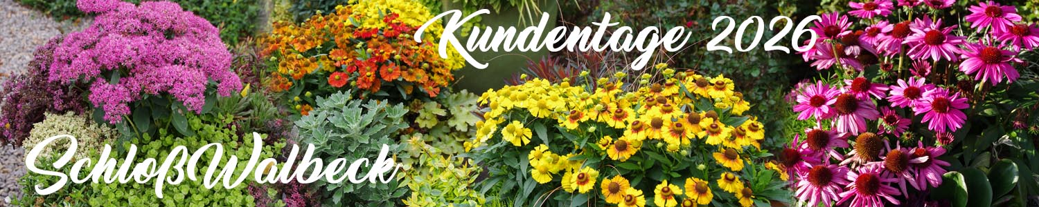 Kientzler-Kundentage