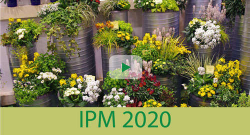 Kientzler auf der IPM 2020