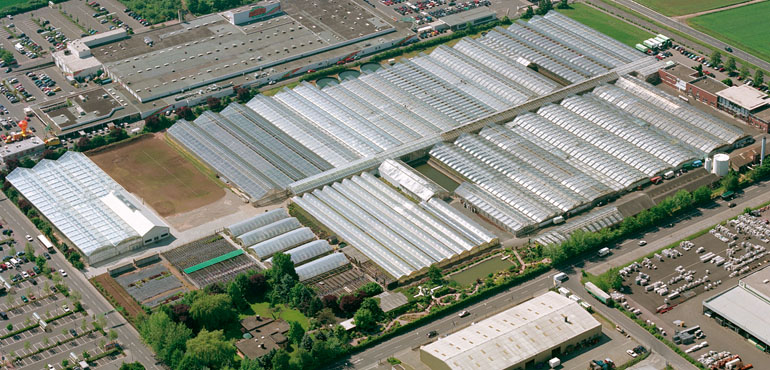 Kientzler greenhouses in Gensingen